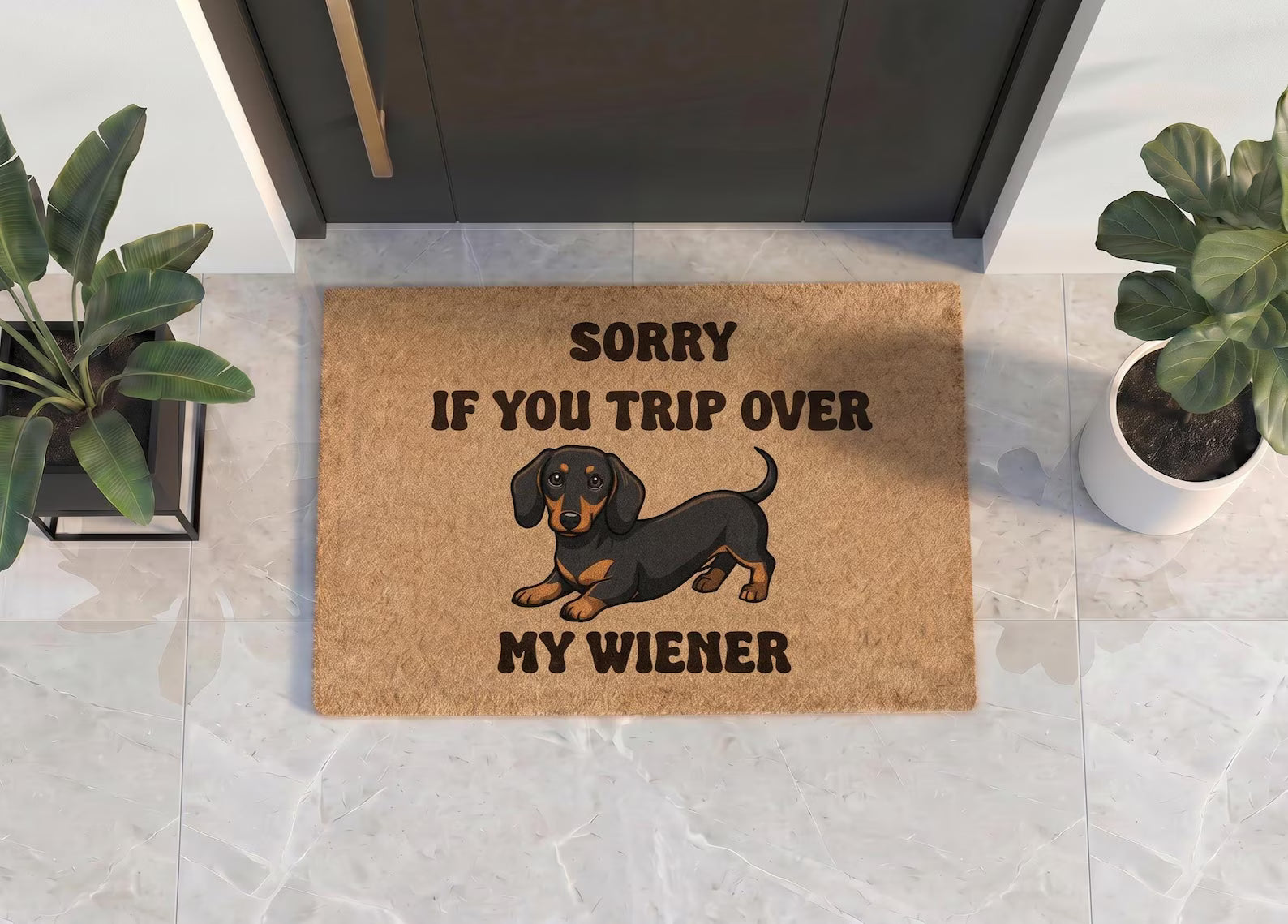 Personalized Dachshund Doormat | Custom Wiener Dog Welcome Mat | Funny Pet Lover Gift | UV Print - OBM Distribution, Inc.